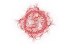 2014 05 04 Test 4 992-white.jpg